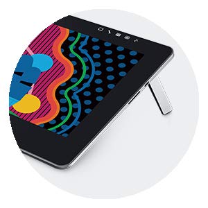 Amazon.in: Buy Wacom Cintiq 13_DTH-1320/AK4-CX HD Pro Pen