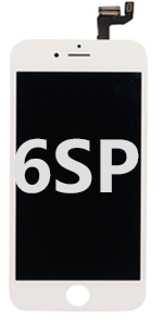 6SP
