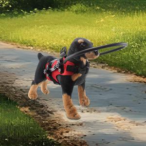 Blind Dog Harness, Anti-Collision Ring for Visually Impaired Pets, Safety Accessories & Protection for Outdoor Walks 16 FB0253501-0-sn-02-(1).jpg