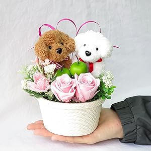 トイプードル