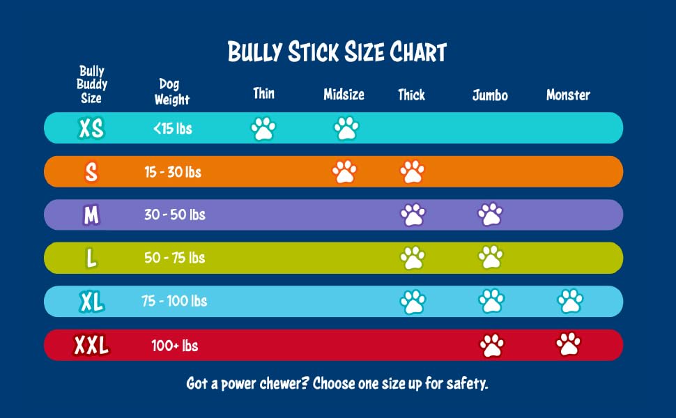 Bow Wow Labs 6" Bully Sticks 10 Pack (Thick) Pet Supplies