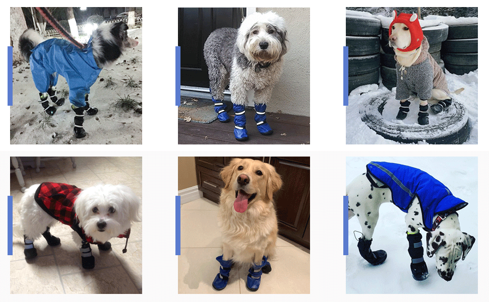 Namsan LongLegged Dog Boots Outdoor Knee High Waterproof AntiSlip