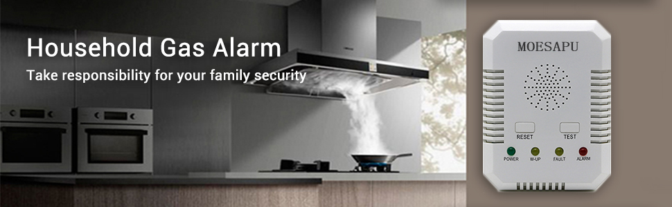 a H3 CO gas detector pluged in the chicken to protected your family