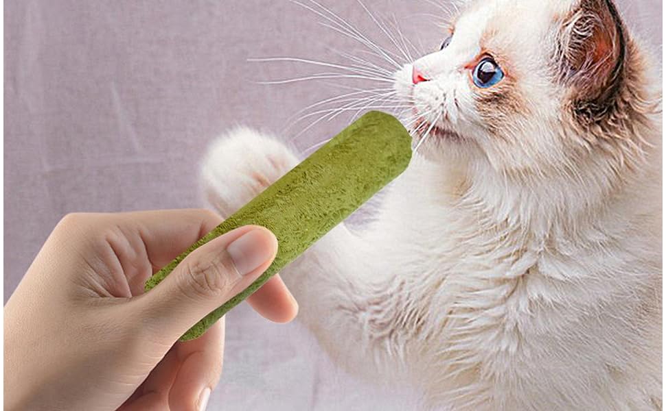 Cat Grass Treats