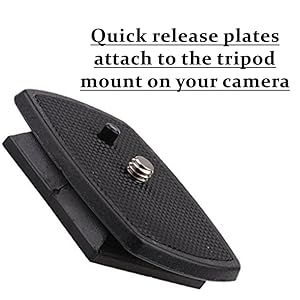 Camera Quick Release Mount , camera quick release mount , camera quick release mount system