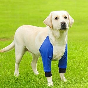 Wear resistant polyester