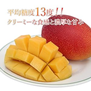 Amazon.co.jp: 【平均糖度13度】完熟マンゴー 宮崎県産 ギフト