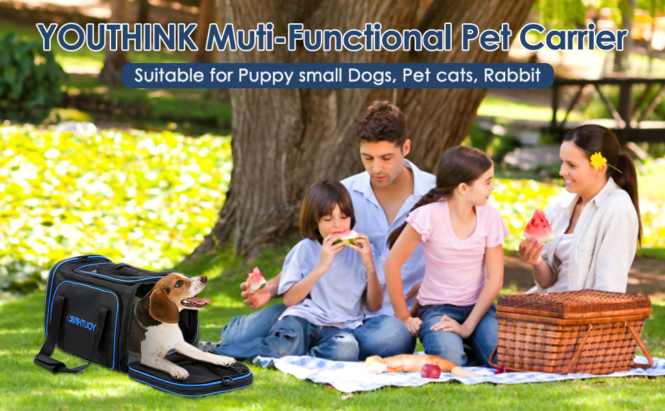 YOUTHINK Expandable Pet Carrier Airline Approved, Soft Sided Pet Travel Carrier for