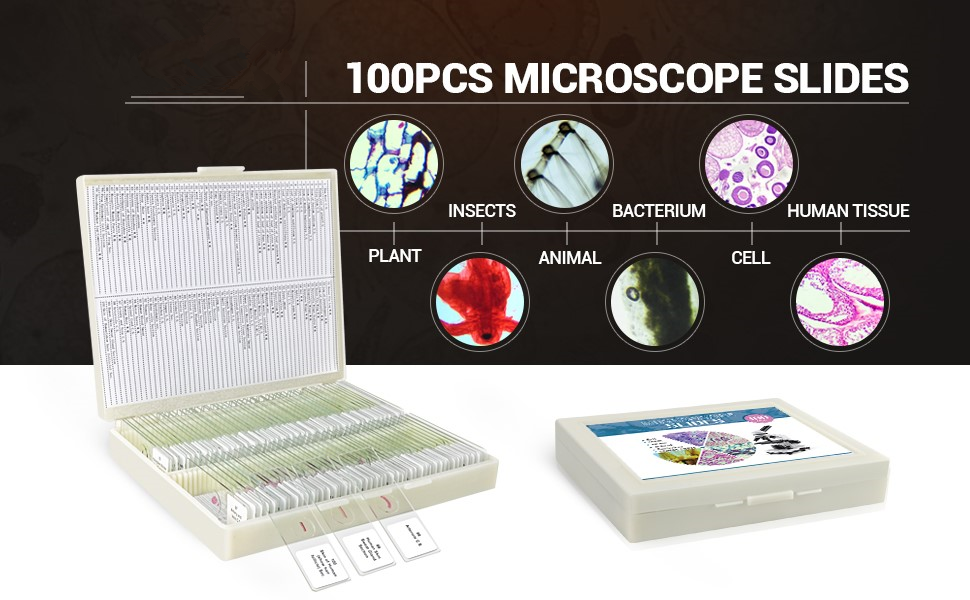 100Pcs Prepared Microscope Slides Set Professional Specimens for Kids