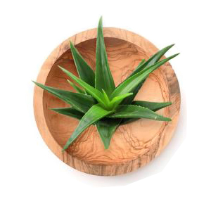 Aloe vera shampoo for hair growth orange blossom shampoo and conditioner vanilla shampoo