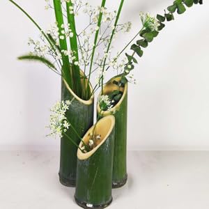 花瓶 花器 フラワーベース アレンジメント 観葉植物　バンブー Amazon.co.jp: GARVALON 3個竹製花瓶 デコレーション用バンブー