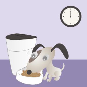 Alimentador automático para mascotas 