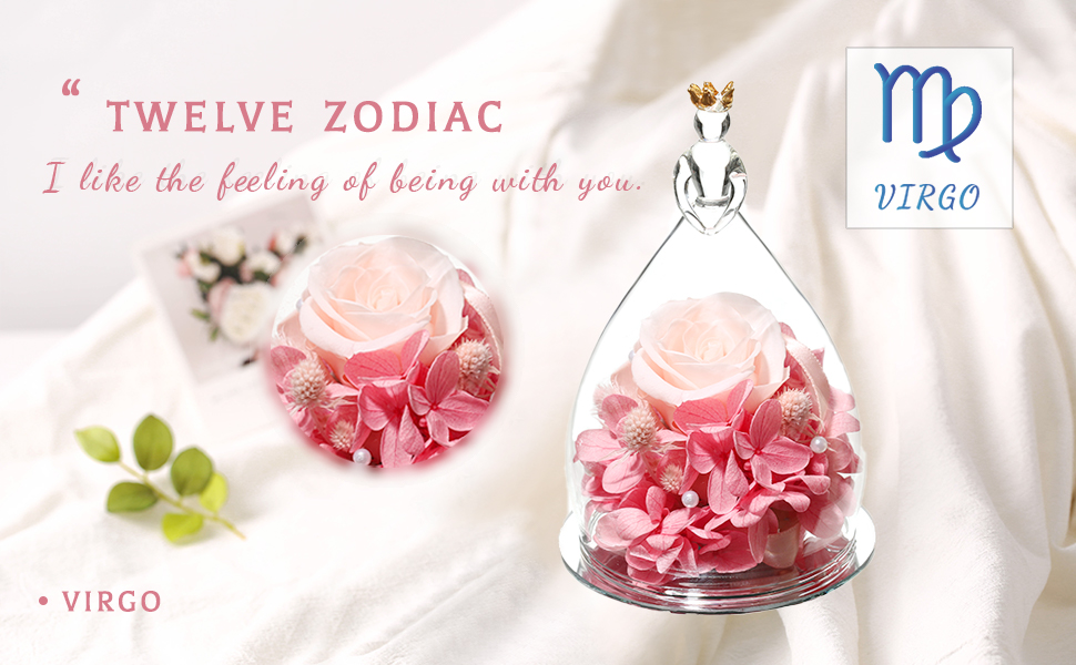 Amazon Com Hoomna Virgo Mother S Day Birthday Gift For Grandma Mom Friend Sister Unique Zodiac Gifts For Women Preserved Real Rose Flowers Never Wither Everything Else Amazon Com Hoomna Virgo Mother S Day Birthday Gift For Grandma Mom Friend Sister Unique Zodiac Gifts For Women Preserved Real Rose Flowers Never Wither Everything Else