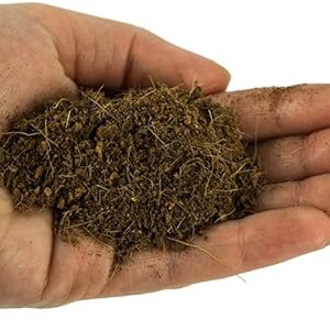 hand holding coco cradle