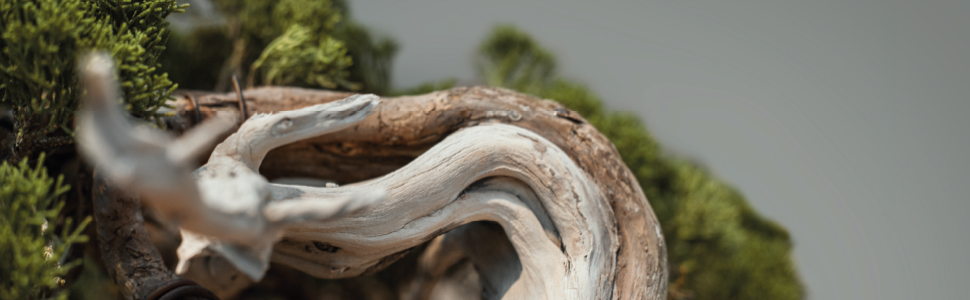 indoor garden kit grow your own kit indoor growing kit plant gift