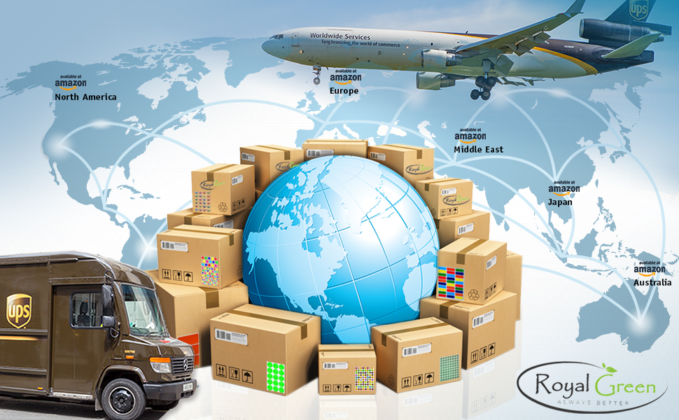 Royal Green Sticker Color Code Labels (7.5 cm x 5 cm) Rectangular