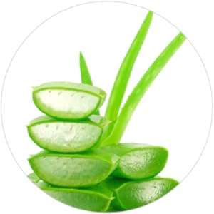 Moisturizing Aloe Vera 