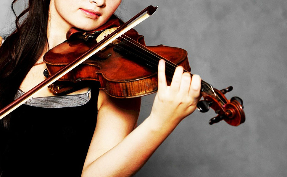 キルトメイプル1枚板 バイオリン 4/4サイズ ノーラベル キルトメイプル1枚板 バイオリン 4/4サイズ ノーラベル