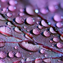 Small manufacture image 8