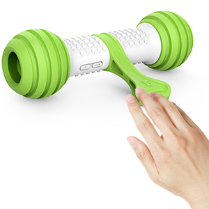 dog entertainment toys
