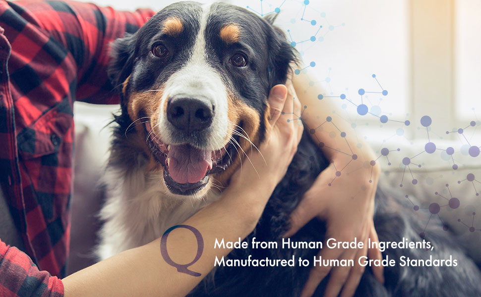 Made from Human Grade Ingredients, Manufactured to Human Grade Standards