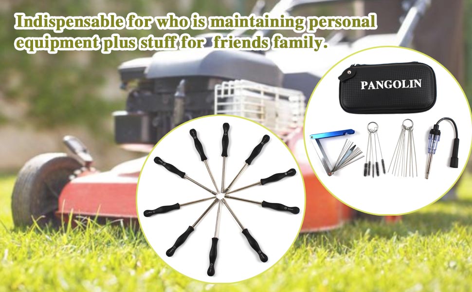 PANGOLIN 10 Pcs Carburetor Adjustment Tool Kit, Carb