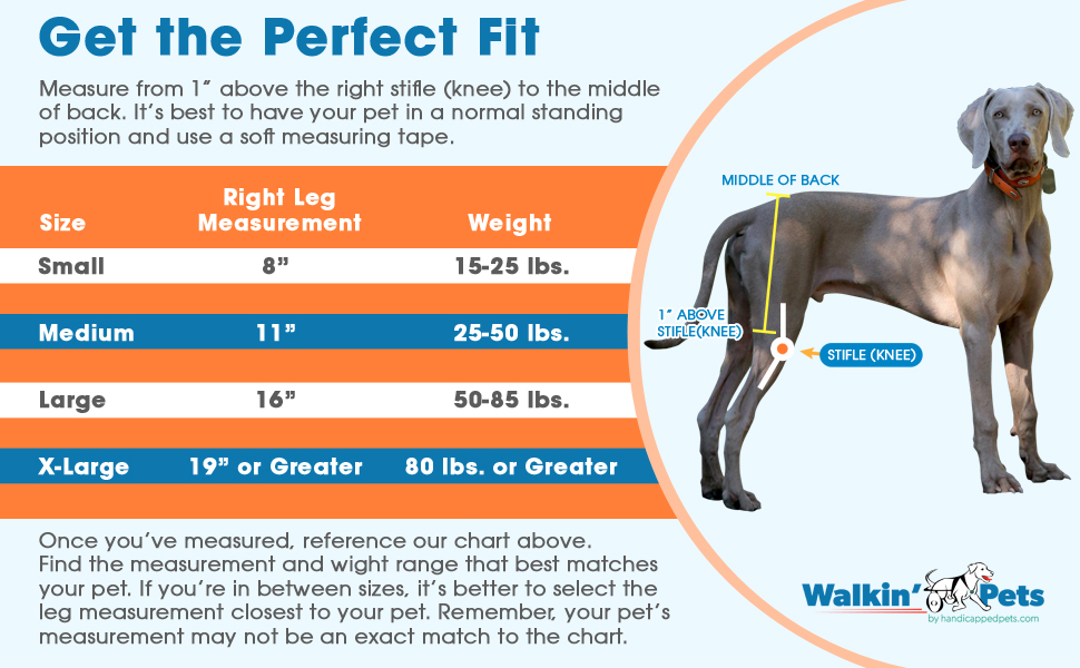 Walkin' Hip-EEZ - Hip Support System sizing chart with instructions