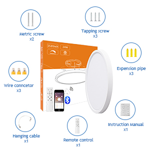 ceiling led light with remote