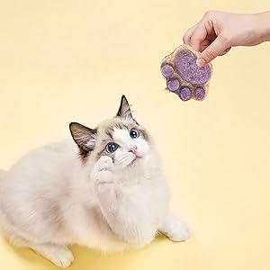 10pcs Paw Shaped Cat Snack Kittens Foods Treat Cat Oral Cleaning Snacks Cats Treat Selection Cats Grass Sticks For Indoor 5g 11 Paw Cat Treats