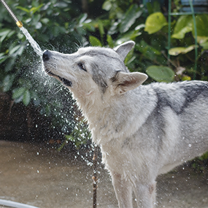 car wash brush with hose attachment hose nozzle high pressure garden hose attachment power washer at