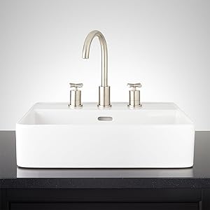 Signature Hardware 447958 Hibiscus 20