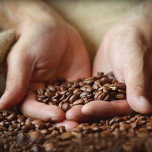 Viaggio Espresso Cápsulas de café compatibles con máquinas Nespresso