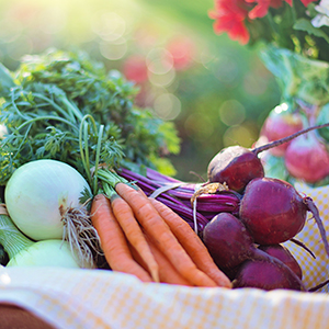 liquid vitamins liquid multivitamin multivitamins hair vitamins skin nail vitamins b12 organic vegan