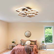 Ceiling Light