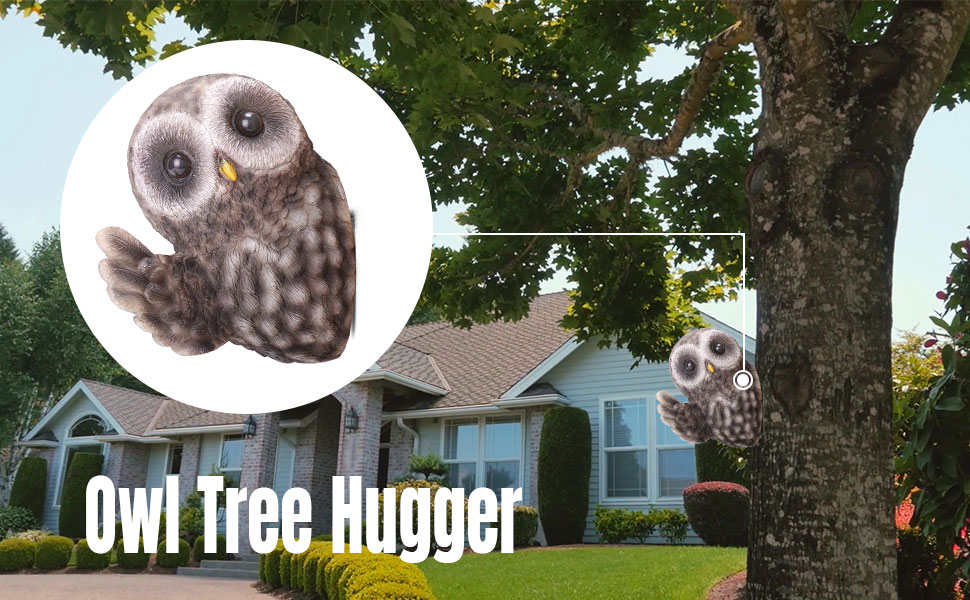 owl tree hugger