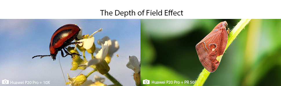 macro depth of field effect