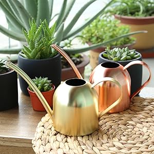 Copper and gold watering can