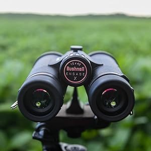 Bushnell Engage DX Binoculars mounted on a stand