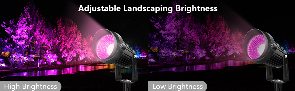 Outdoor Color Changing Light