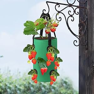 イチゴ栽培バッグ 3ガロン 12個の植え付け穴付き 吊り下げ フェルト生地 イチゴ栽培バッグ 3 ガロン ポケット付き 耐久性のある吊り下げ