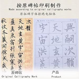 Amazon.com: Tianjintang Chinese Calligraphy Ink Writing Sumi