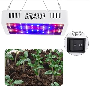 Amazon.co.jp: SMARUP led植物育成ライト600W 植物ライト 水栽培