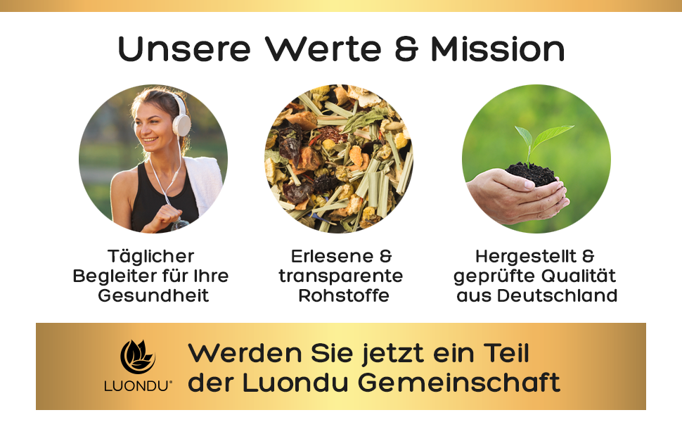 Werte und Ziele von LUONDU