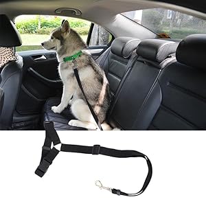 Amazon Aidiyapet犬 シートベルト ヘッドレスト 車専用リード 安全ベルト 長さ調整可能 ペットドライブ用 突然の飛び出し防止 2点セット Aidiyapet カー用品 通販 Amazon Aidiyapet犬 シートベルト ヘッドレスト 車専用リード 安全ベルト 長さ調整可能 ペットドライブ用 突然の飛び出し防止 2点セット Aidiyapet カー用品 通販