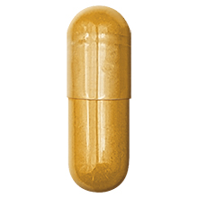 brain function memory focus clarity circulation cognitive citicoline rhodiola ginkgo biloba bacopa