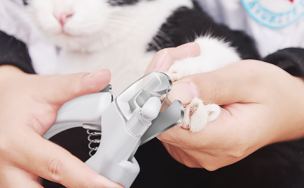 Fttouuy Coupe Ongles I Coupe Ongles Avec Lumiere Led Pour Chiens Et Chats I Pince A Ongles Tres Sure Lime A Ongles Soin Des Griffes Amazon Fr Animalerie