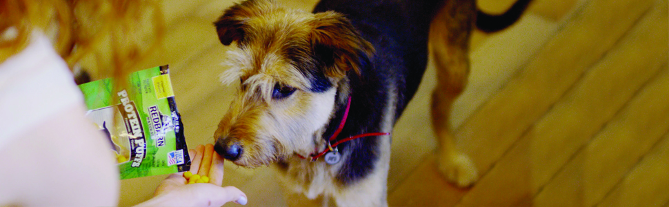 Redbarn Pet Products Natural Treats Protein Puffs Peanut Butter Cheese 