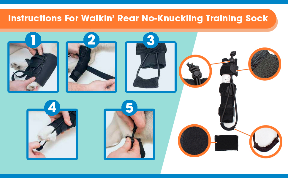 Rear NoKnuckling Training Sock Helps Dogs Pick up Their
