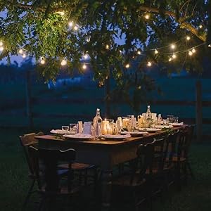 string lights solar powered