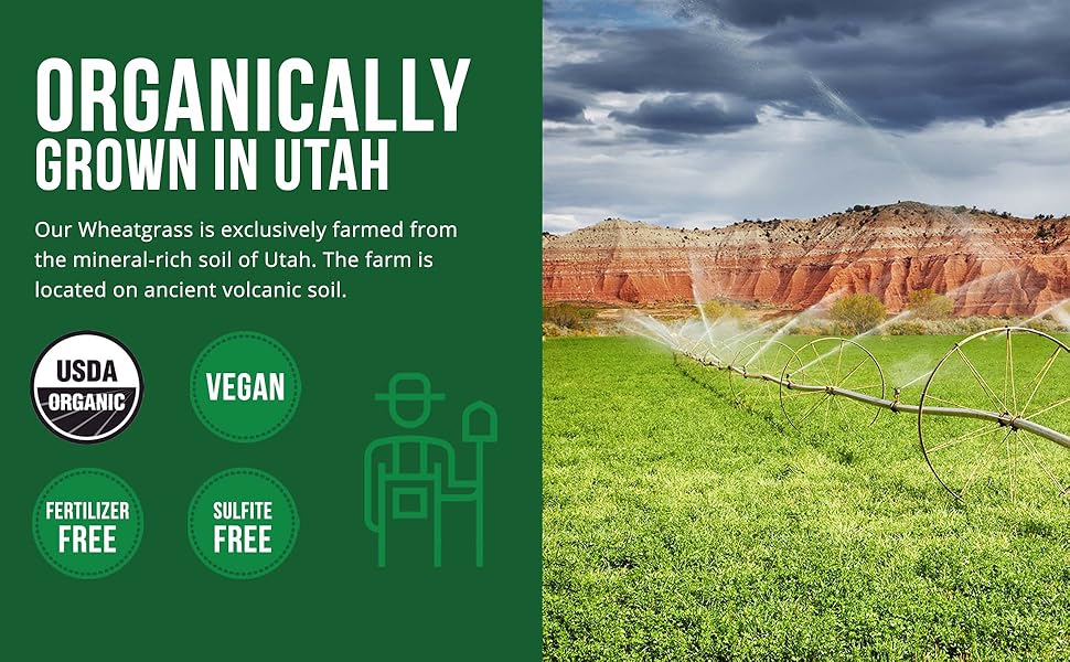 Organic Wheatgrass Juice Powder Grown in Volcanic Soil of